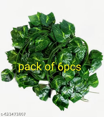 Money plant decoration (pack of 6) high quality cavier