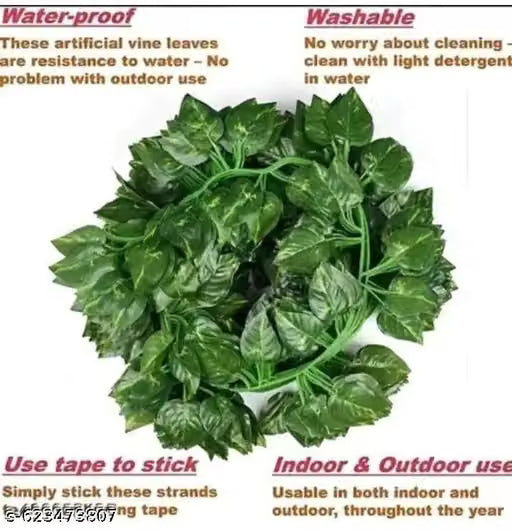 Money plant decoration (pack of 6) high quality cavier