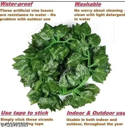 Money plant decoration (pack of 6) high quality cavier