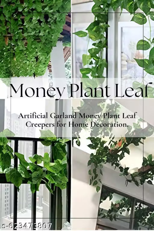 Money plant decoration (pack of 6) high quality cavier